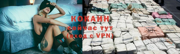 соль ск Волосово
