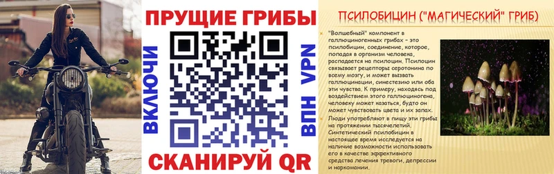 как найти   Славянск-на-Кубани  omg   Псилоцибиновые грибы ЛСД 