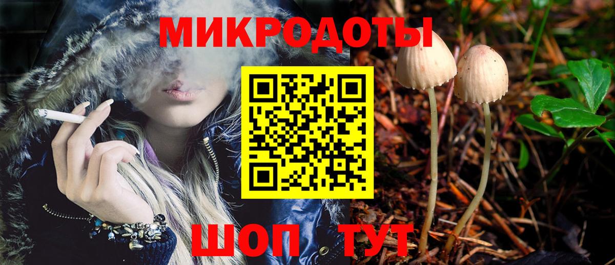 Псилоцибиновые грибы Psilocybine cubensis  Вход с VPN  Славянск-на-Кубани 