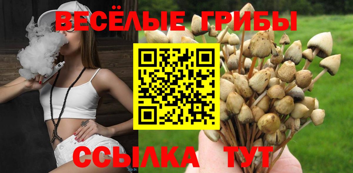 Галлюциногенные грибы Psilocybe Славянск-на-Кубани