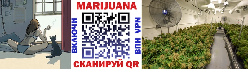Бошки марихуана сатива  как найти наркотики  Славянск-на-Кубани 